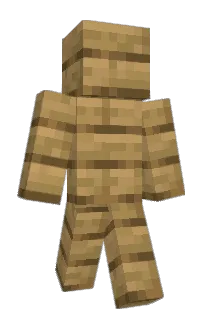 Front of Awooscar's skin