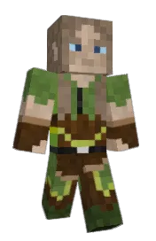 Skin preview