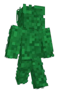 Raqkaaq's Minecraft skin