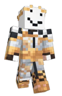 Front of Qviser's skin