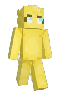 Front of Rueket's skin
