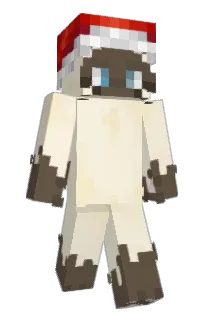 Front of 7DanX's skin