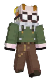 Skin preview