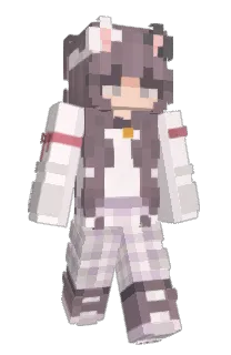 Front of NeqReg's skin