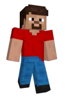 2gals1mug Minecraft avatar full body