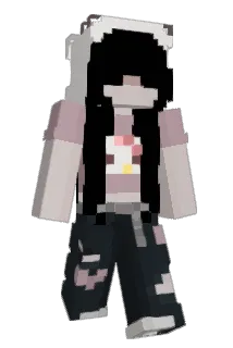 2insync Minecraft avatar full body