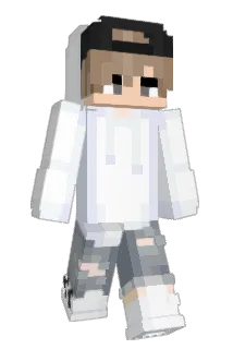 2mehmet63 Minecraft avatar full body