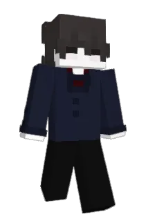 2nine Minecraft avatar full body