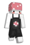 2sx Minecraft avatar full body