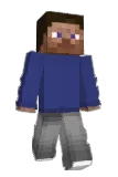 2v2i Minecraft avatar full body