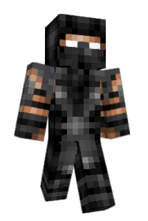 2v2s Minecraft avatar full body