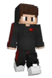 2wn Minecraft avatar full body