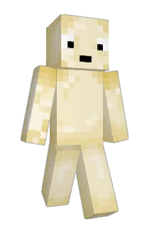 2wonton Minecraft avatar full body
