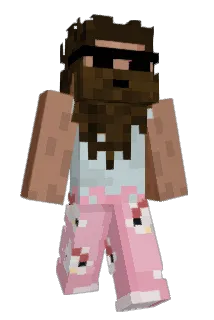 2x2 Minecraft avatar full body