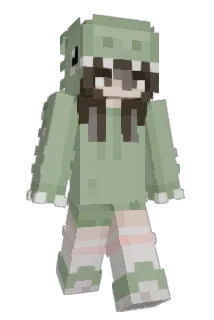 2x89 Minecraft avatar full body