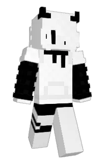 Front of laterfire's skin