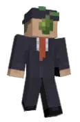 Dustein