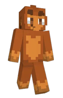Front of shxco's skin