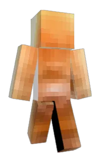 Front of __GetInVan__'s skin