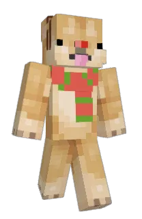 Front of DogeKnowz's skin