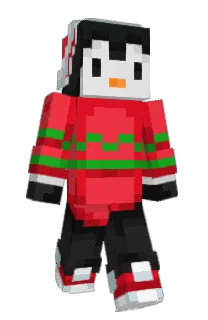 Front of Nomhb's skin