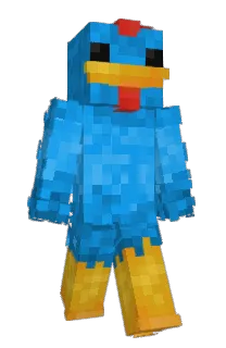Front of coisle's skin