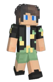 Skin preview