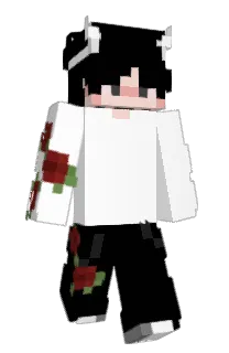 Front of VVSebi's skin