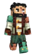 Elaeriic