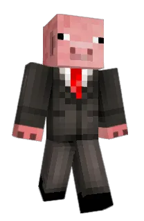 Front of VEISIK's skin