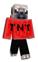BomberBill's Minecraft skin wearing the Pan cape
