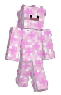 Front of pock8's skin