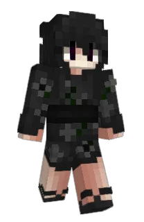 Front of 66u's skin