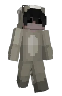 Front of Ninjutsu's skin