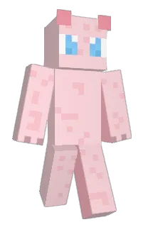 Front of ninenet's skin