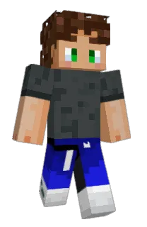 p9nda_'s Minecraft skin