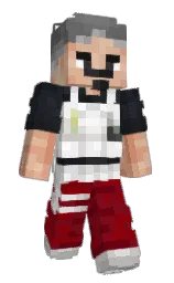 shark and calico Minecraft skin — Slim model