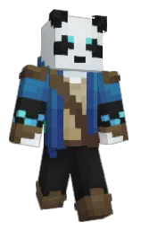 Minecraft skin — Classic model