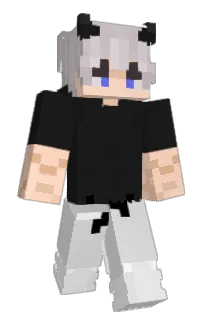 Front of sajgonek27's skin