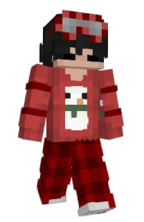 Front of ImZolarix's skin