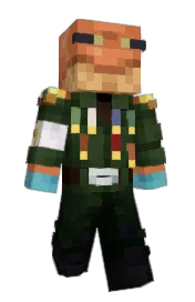 Skin preview