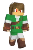 _vin1