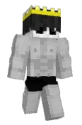 ConstiFN