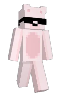 Front of Mini's skin