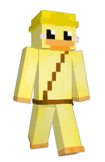 Front of bnhmk's skin