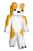 Ssneir