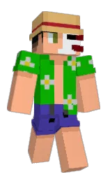 Slim Minecraft skin