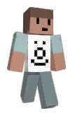 313ms Minecraft avatar full body