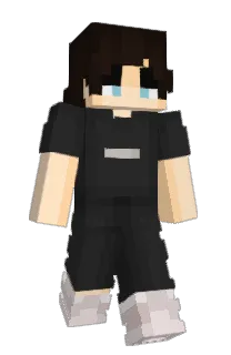 Front of TropicalT's skin