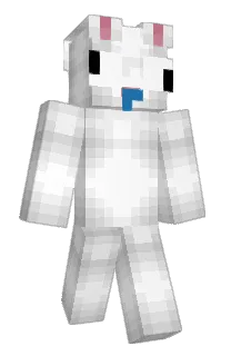Front of _Naxy's skin
